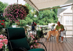 Back porch with dog and flowers