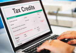 Tax Credit on a computer screen