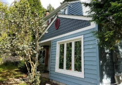 blue siding