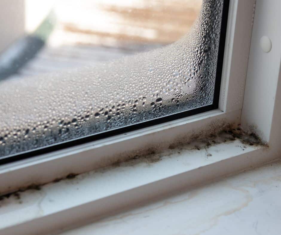 drafty windows mold